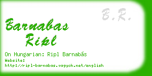 barnabas ripl business card